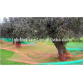resistencia a la rotura caída de recolección de oliva